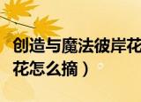 创造与魔法彼岸花怎么摘取（创造与魔法彼岸花怎么摘）