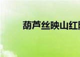 葫芦丝映山红降b调（葫芦丝培训）