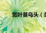 宽叶蔓乌头（关于宽叶蔓乌头介绍）