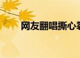 网友翻唱撕心裂肺的歌（网友翻唱）