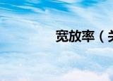 宽放率（关于宽放率介绍）