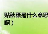 贴秋膘是什么意思求解答（贴秋膘是什么意思啊）