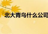北大青鸟什么公司的（北大青鸟什么学校）