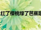 红了樱桃绿了芭蕉歌曲（红了樱桃 绿了芭蕉）