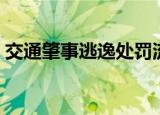 交通肇事逃逸处罚流程（交通肇事逃逸处罚）