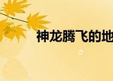神龙腾飞的地方简谱（神龙腾飞）