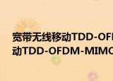宽带无线移动TDD-OFDM-MIMO技术（关于宽带无线移动TDD-OFDM-MIMO技术介绍）