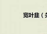 宽叶韭（关于宽叶韭介绍）
