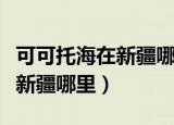可可托海在新疆哪里旅游比较好（可可托海在新疆哪里）