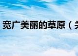 宽广美丽的草原（关于宽广美丽的草原介绍）