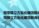 宽带隙立方氮化硼薄膜肖特基接触和场效应管研究（关于宽带隙立方氮化硼薄膜肖特基接触和场效应管研究介绍）