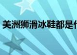 美洲狮滑冰鞋都是什么价位（美洲狮滑冰鞋）