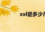 xxl是多少尺（xxl是多大号）