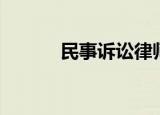 民事诉讼律师（民事诉讼律师）