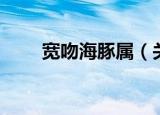 宽吻海豚属（关于宽吻海豚属介绍）