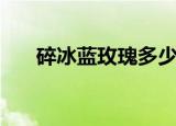 碎冰蓝玫瑰多少钱一支（碎冰蓝玫瑰）