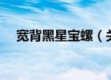 宽背黑星宝螺（关于宽背黑星宝螺介绍）