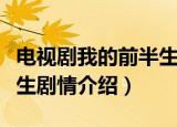 电视剧我的前半生剧情视频（电视剧我的前半生剧情介绍）