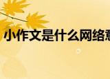小作文是什么网络意思（小作文是什么意思）