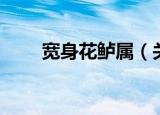 宽身花鲈属（关于宽身花鲈属介绍）