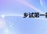 乡试第一名（乡试第一名）
