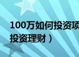100万如何投资项目范文800字（100万如何投资理财）