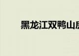 黑龙江双鸭山房价（黑龙江双鸭山）