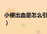 小便出血是怎么引起的（小便出血是怎么回事）