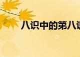 八识中的第八识（八识中的第八识）