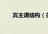 宾主谓结构（关于宾主谓结构介绍）