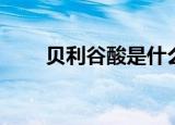 贝利谷酸是什么（贝利谷酸是什么）