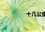 十几公里外发现了残骸