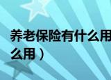 养老保险有什么用能取出来吗（养老保险有什么用）