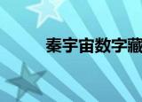 秦宇宙数字藏品靠谱吗（秦宇宙）