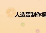 人造蛋制作视频全过程（人造蛋）