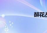 醉花丛（醉花丛）