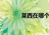 莱西在哪个地方（莱西在哪）