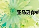 亚马逊森蚺（亚马逊打不开）