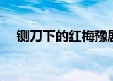 铡刀下的红梅豫剧唱段（铡刀下的红梅）
