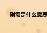 刚需是什么意思呢（刚需是什么意思）