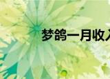 梦鸽一月收入多少（梦鸽真名）