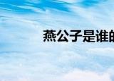 燕公子是谁的经纪人（燕公子）