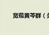 宽苞黄芩群（关于宽苞黄芩群介绍）
