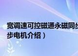 宽调速可控磁通永磁同步电机（关于宽调速可控磁通永磁同步电机介绍）