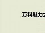 万科魅力之城（万科买房）