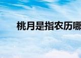 桃月是指农历哪个月（桃月是指几月）