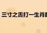 三寸之舌打一生肖数字（三寸之舌打一生肖）