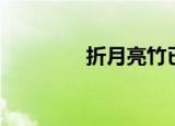 折月亮竹已小说（折月亮）