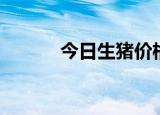 今日生猪价格全国（今日传播）