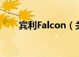 宾利Falcon（关于宾利Falcon介绍）